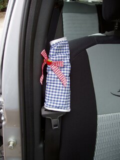 dacia2011Juni 019.jpg