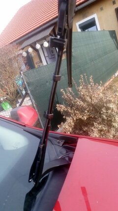 IMG_20170226_155900.jpg