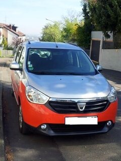 Lodgy orange.jpg