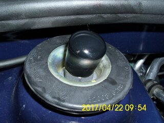 k-DSCI5540.JPG