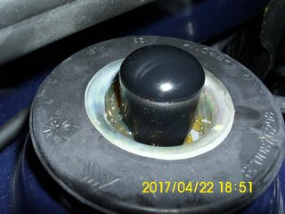 k-DSCI5547.JPG