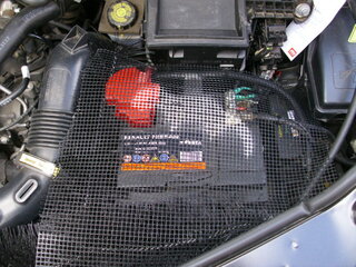 DSCI0247.JPG