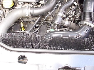 DSCI0248.JPG