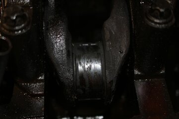 IMG_1068.JPG