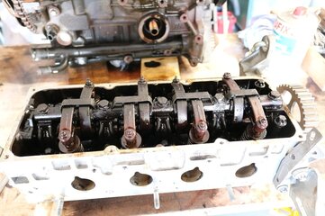 IMG_1075.JPG