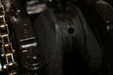 IMG_1079.JPG