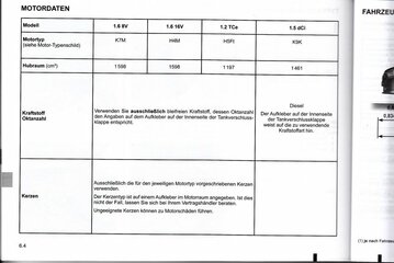 Lodgy_BedAnl 01-2017_Motordaten.jpg