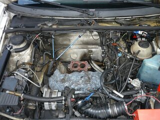 k-P1060314.JPG