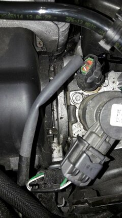 20170525_101017.jpg