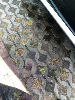 20170609_102218.jpg