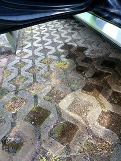 20170609_102004.jpg
