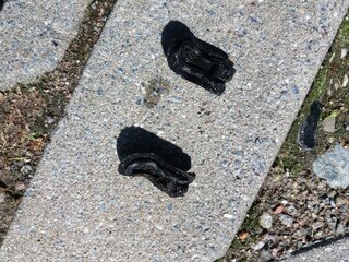 20170609_102039.jpg