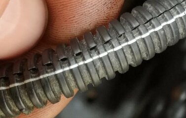 IMG_20170612_175042.jpg