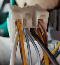 Stecker.jpg