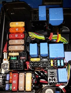 20170707_003516A.jpg
