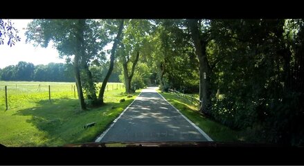 Baumschatten.jpg