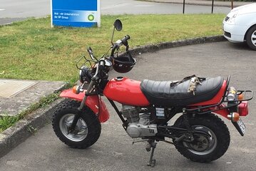 cy50.jpg