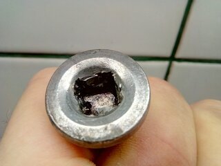 ölschrabe 1.jpg