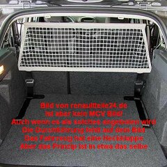 Netzv24Renault.jpg