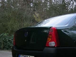 007.JPG