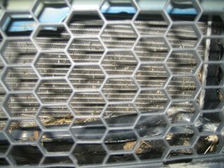 IMG_7857_rs.jpg IMG_7857_rs.jpg