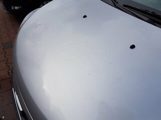 Motorhaube3.jpg
