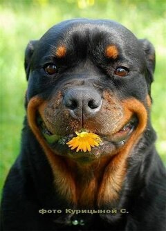 bubi.jpg