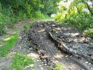 100_7188.JPG