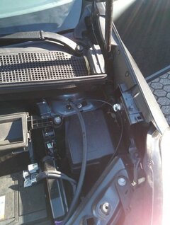 IMG_20171014_155403.jpg