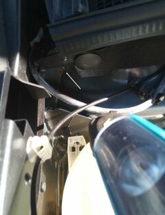 IMG_20171014_155500.jpg