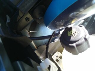 IMG_20171014_155511.jpg