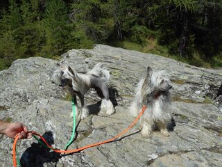 IMG_1956.JPG