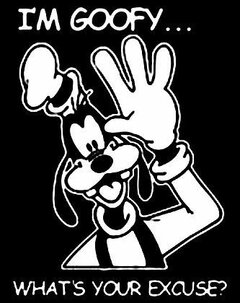 Bin Goofy.jpg