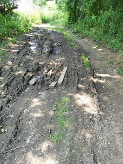 100_7184.JPG