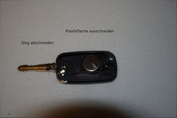 SchN_008_Klein.jpg