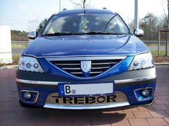 Trebor Dacia 2011 04 001.JPG