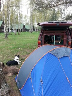 2014-04-18 14.46.18.jpg