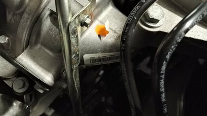 IMG_20180315_130837.jpg