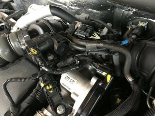 C70FC525-4D56-4123-9E2A-FDF187DFDC36.jpeg
