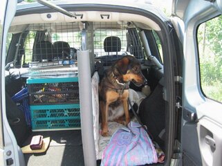 IMG_0935.jpg