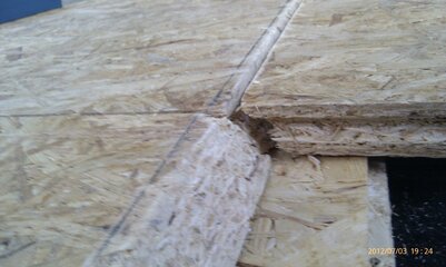 IMAG0318.jpg