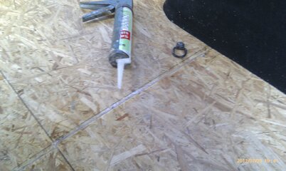 IMAG0320.jpg
