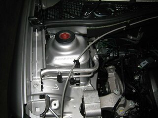 IMG_1669.jpg