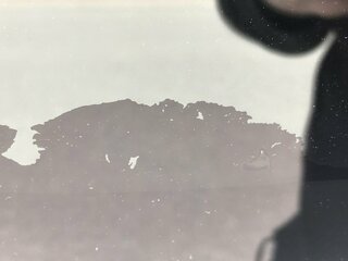 9B12B54C-E648-42ED-8822-70BC8CA9632B.jpeg