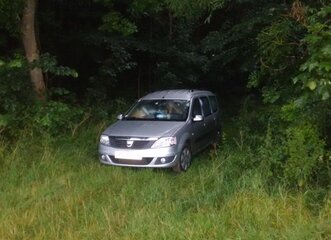 schlafplatz_wald.jpg