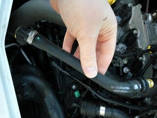 IMG_20180406_191751.jpg