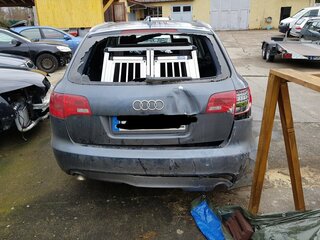 20180407_122155.jpg
