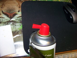 100_2571.JPG 100_2571.JPG