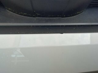 IMG_20180426_200558.jpg