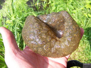 100_8075.JPG